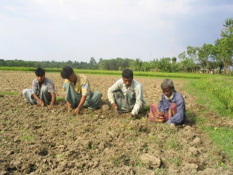 People working on the fields